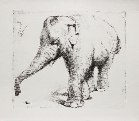 Шендеров Александр Семёнович. Слон